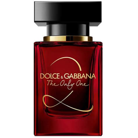 dolce gabbana echantillon